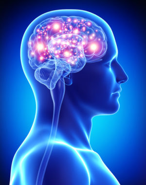 male active brain 3d art illustration of male active brain